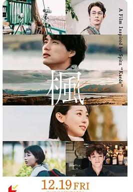 枫封面图