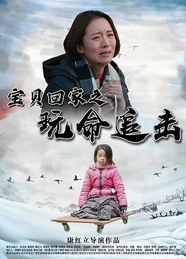宝贝回家之玩命追击封面图