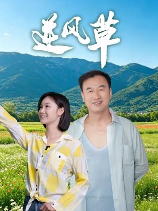 逆风草封面图