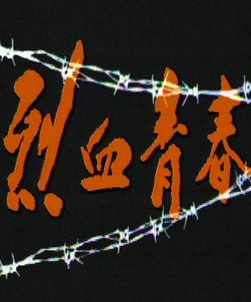烈血青春封面图