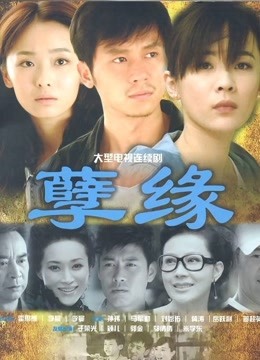 孽缘封面图