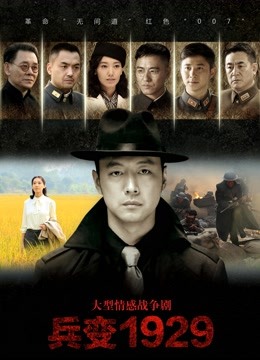 兵变1929封面图