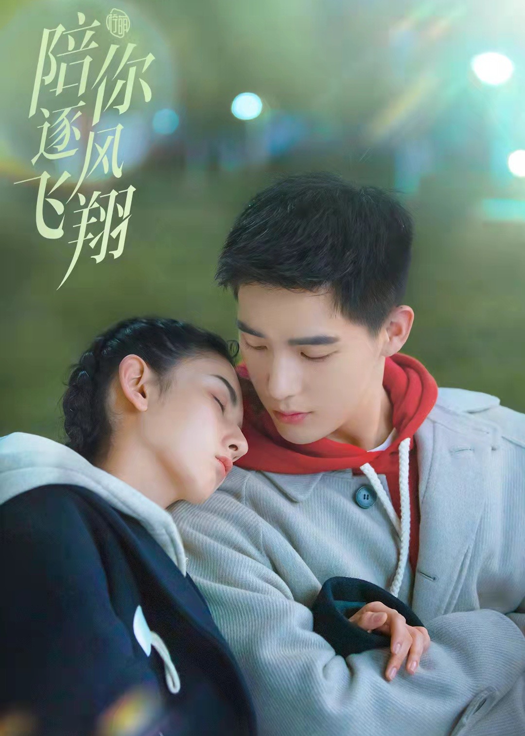 陪你逐风飞翔封面图